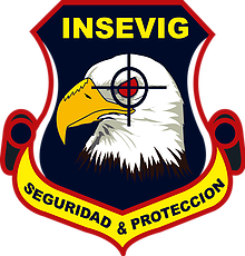 logo-insevig-v1